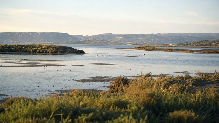Alaçatı Sulak Alanı