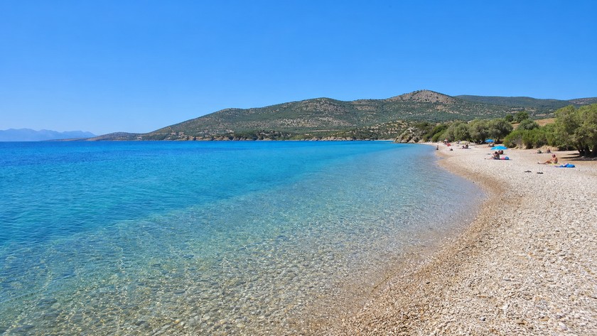 Ardıç Plajı