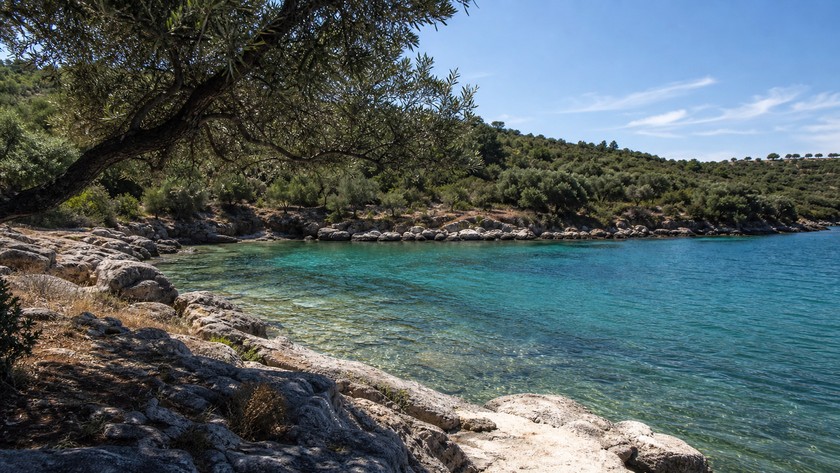 Demircili ve Urla koyları
