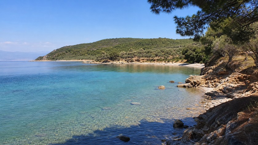 Bademli Koyu Rehberi: Dikili'de Kıyı, Ilıca ve Deniz Rotası