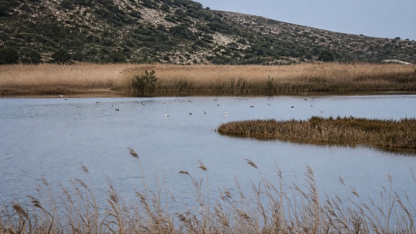 Güzelhisar sulak alanı