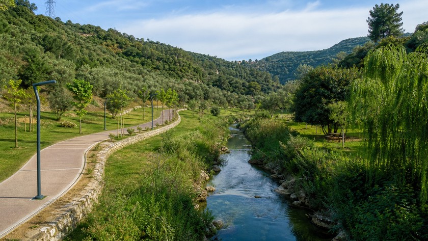 Homeros Vadisi Rehberi: Bornova'da Yürüyüş ve Doğa Rotası