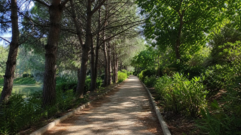 İnciraltı Kent Ormanı yürüyüş yolu