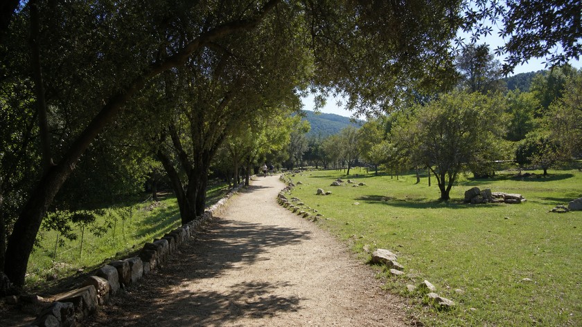 İzmir Doğal Yaşam Parkı yürüyüş yolu