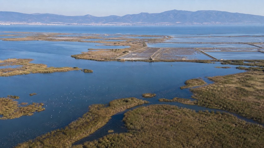 İzmir Kuş Cenneti Gediz Deltası