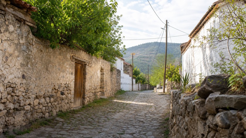 Nazarköy Kemalpaşa yolu