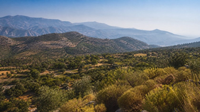 Ovacık Yayla Manzarası