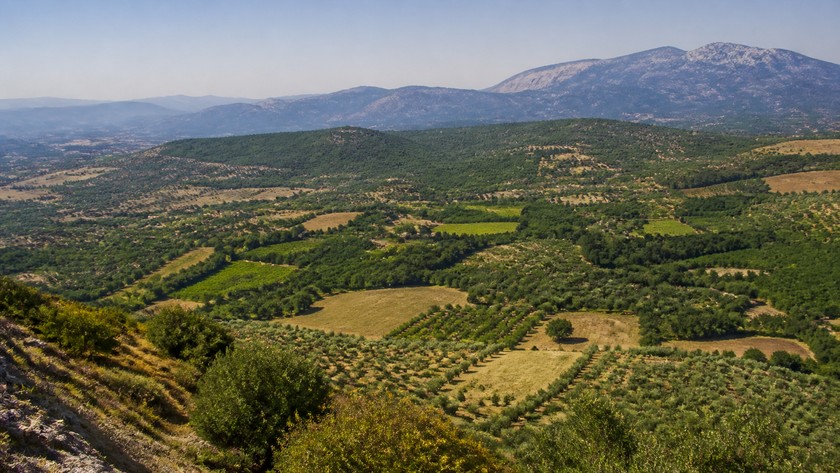 Ovacık Yaylası Rehberi: Beydağ'da Yayla, Manzara ve Doğa Notları