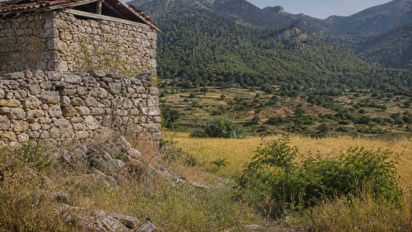 Kaplan kırsal dokusu