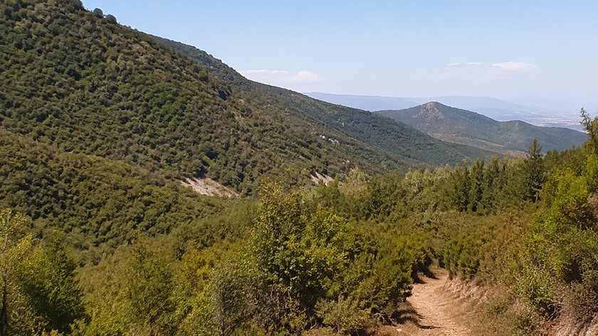 Mahmut Dağı Armutlu rotası