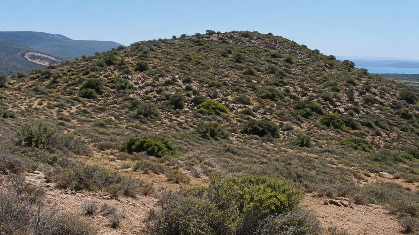 Aterneus Dikili rotası
