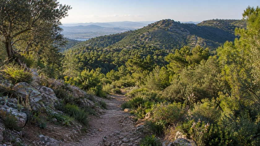Buca Doğa