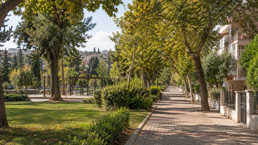 Buca Merkez