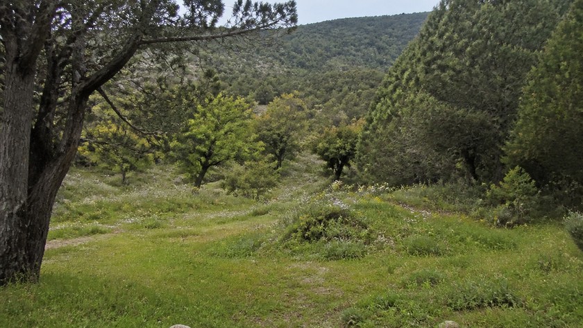 Çiçekli Köy doğası