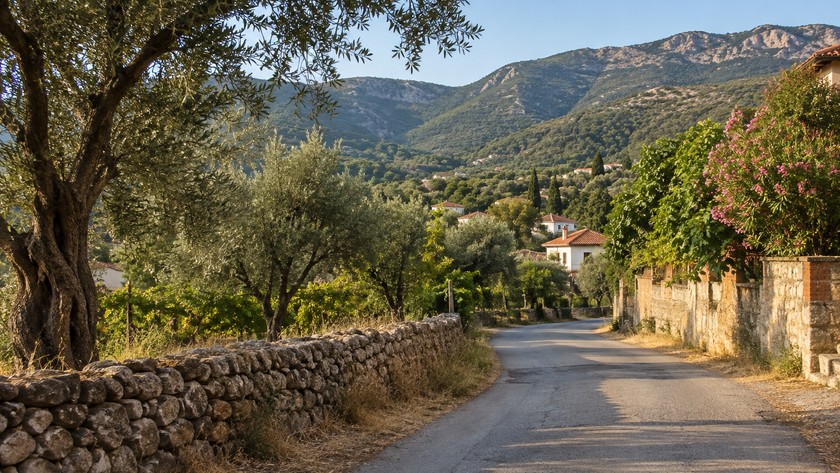 Kaynaklar Buca