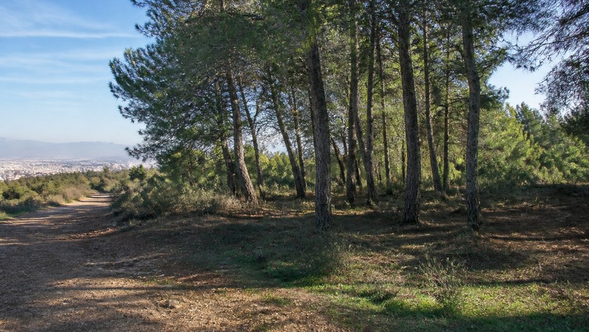 Sarnıç kısa rota